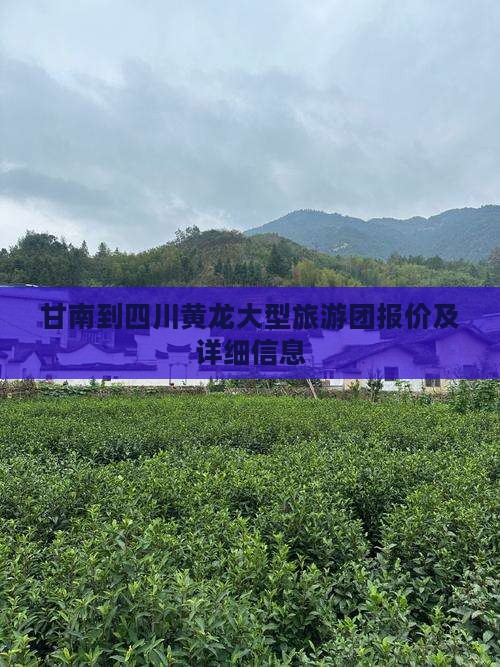 甘南到四川黄龙大型旅游团 甘南到四川黄龙大型旅游团