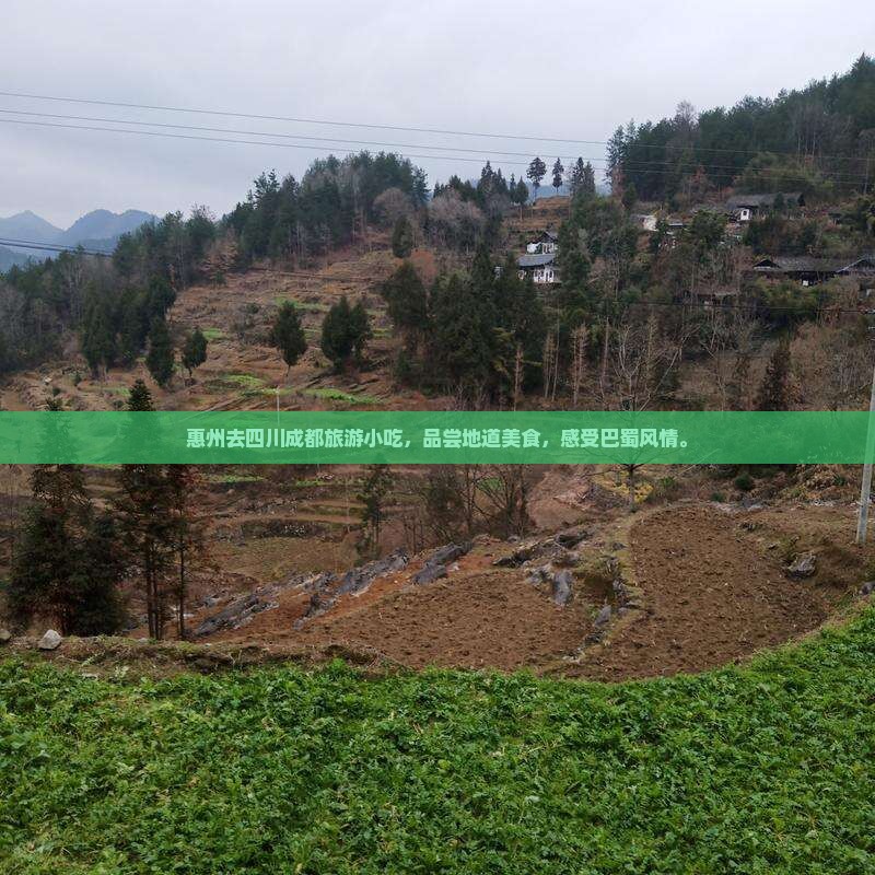 惠州去四川成都旅游小吃