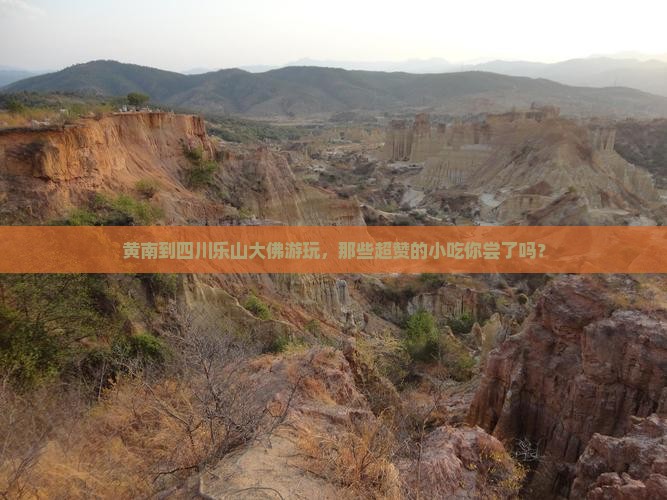 黄南去四川乐山大佛旅游小吃
