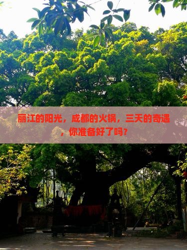 丽江到四川成都三日游
