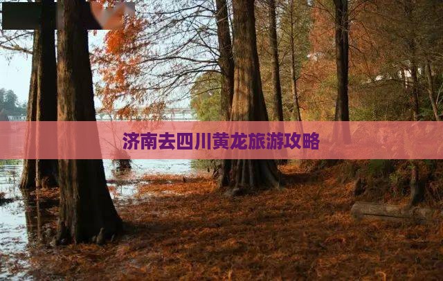 济南去四川黄龙旅游