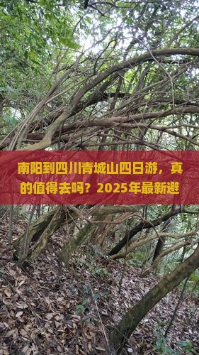 南阳到四川青城山四日游