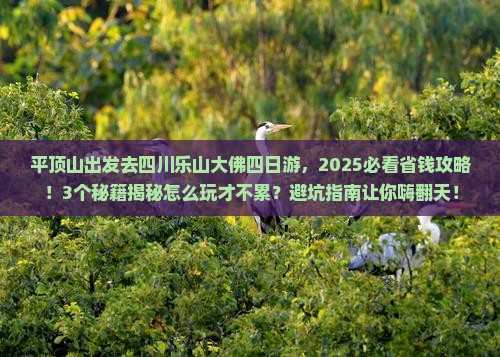 平顶山去四川乐山大佛四日游