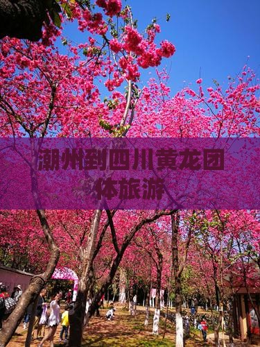 潮州到四川黄龙团体旅游