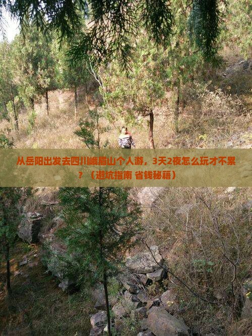 岳阳去四川峨眉山个人游