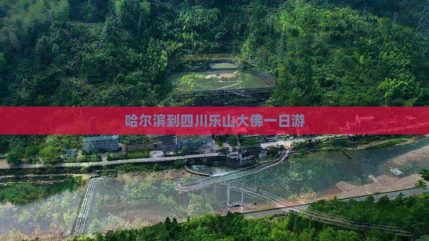 哈尔滨到四川乐山大佛一日