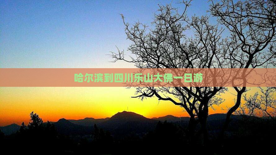 哈尔滨到四川乐山大佛一日