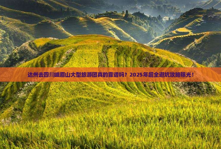 达州去四川峨眉山大型旅游团
