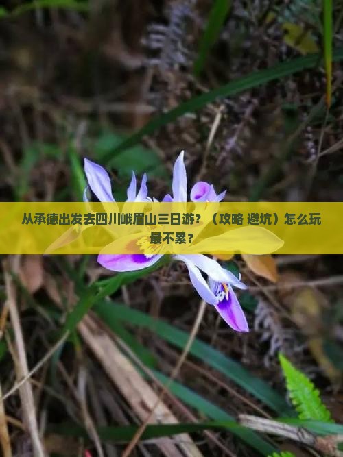 承德去四川峨眉山三日游