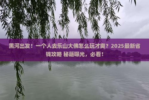 黑河到四川乐山大佛个人游