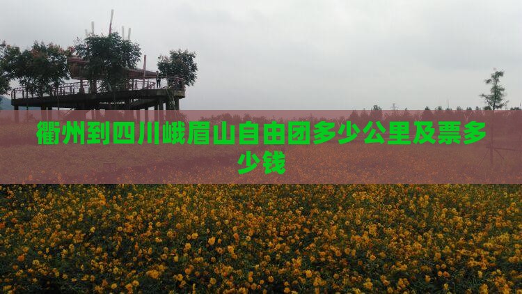 衢州到四川峨眉山自由团