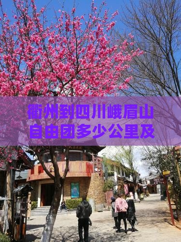 衢州到四川峨眉山自由团