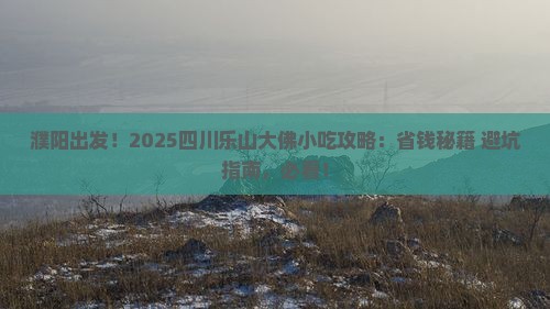 濮阳去四川乐山大佛旅游小吃