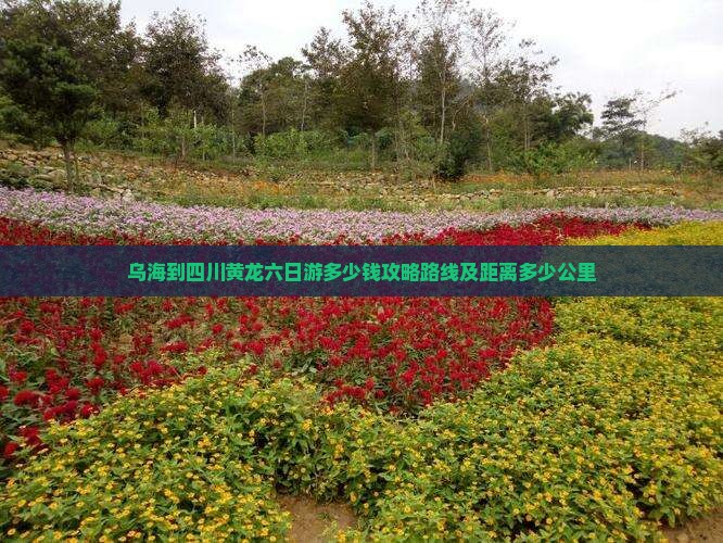 乌海到四川黄龙六日游