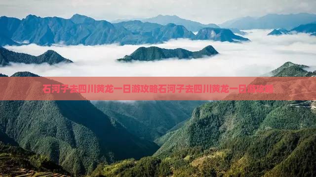 石河子去四川黄龙一日