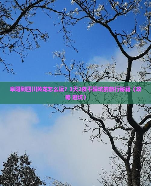 阜阳到四川黄龙旅行社
