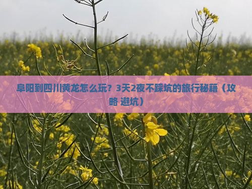 阜阳到四川黄龙旅行社