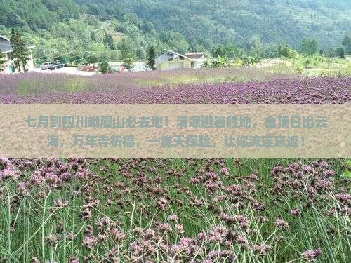 七月到四川峨眉山必去地