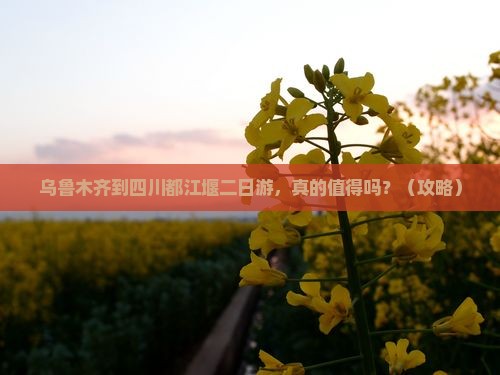 乌鲁木齐到四川都江堰二日游