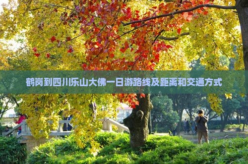 鹤岗到四川乐山大佛一日