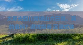 太原去四川青城山六日游