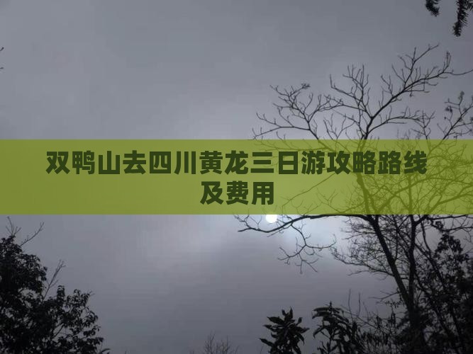 双鸭山去四川黄龙三日游