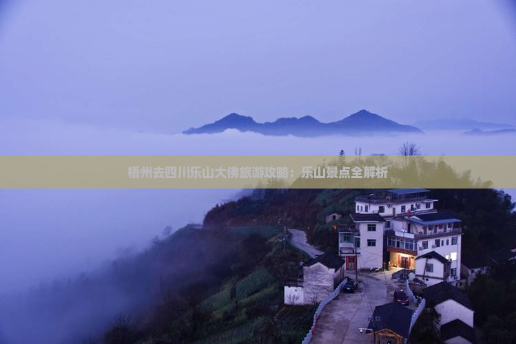梧州去四川乐山大佛攻略