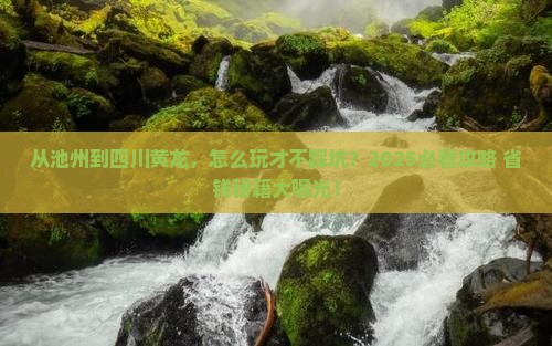 池州去四川黄龙哪里玩