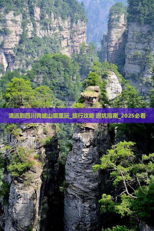 清远到四川青城山哪里玩