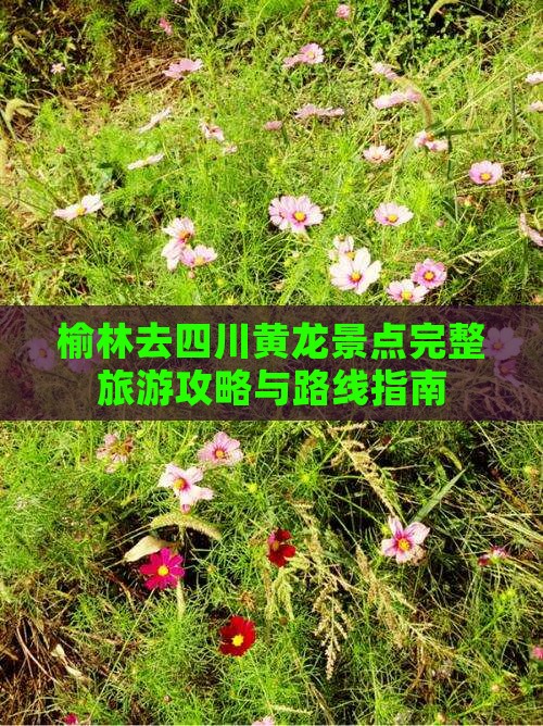 榆林去四川黄龙景点完整旅游攻略与路线指南