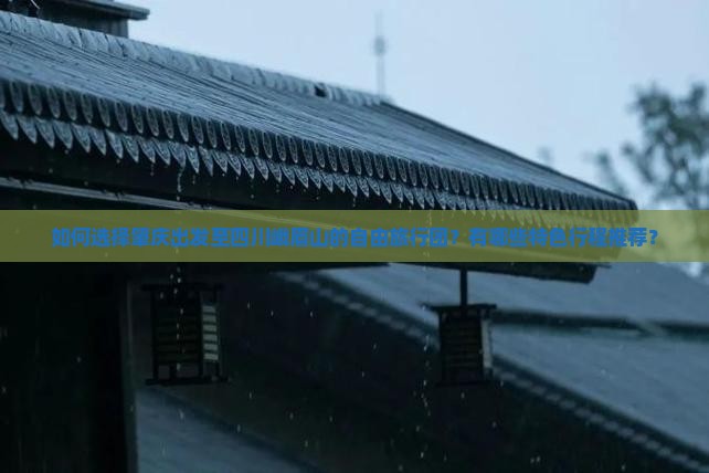 如何选择肇庆出发至四川峨眉山的自由旅行团？有哪些特色行程推荐？
