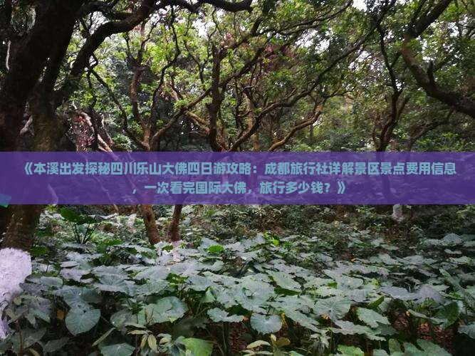 《本溪出发探秘四川乐山大佛四日游攻略：成都旅行社详解景区景点费用信息，一次看完国际大佛，旅行多少钱？》