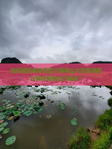如何组织榆林至四川青城山大型旅游团以解决游客出行痛点？