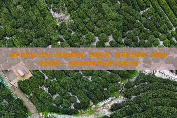 葫芦岛去四川乐山大佛旅游攻略：详细行程、费用及九寨沟、峨眉山景点推荐——四川旅游葫芦岛旅行社营业部