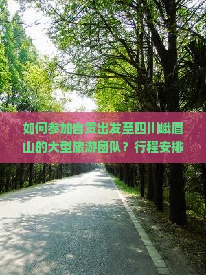 如何参加自贡出发至四川峨眉山的大型旅游团队？行程安排及报名详情解析