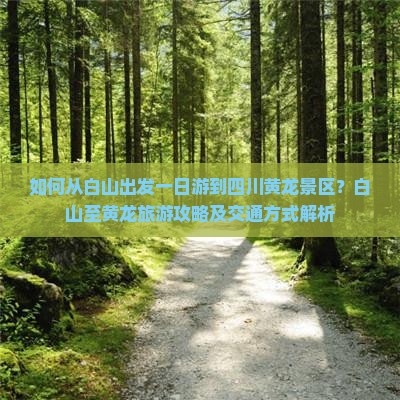如何从白山出发一日游到四川黄龙景区？白山至黄龙旅游攻略及交通方式解析