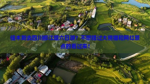 佳木斯去四川都江堰六日游？不想错过大熊猫和网红景点的看过来！