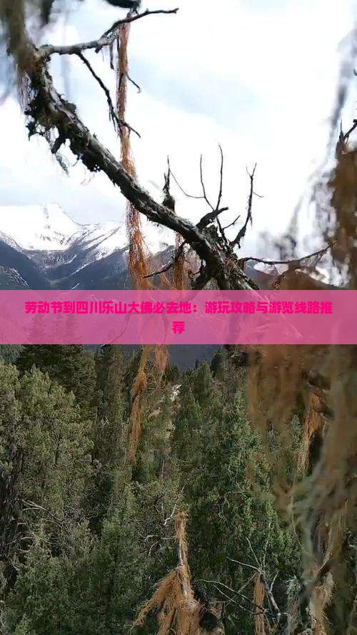 劳动节到四川乐山大佛必去地：游玩攻略与游览线路推荐