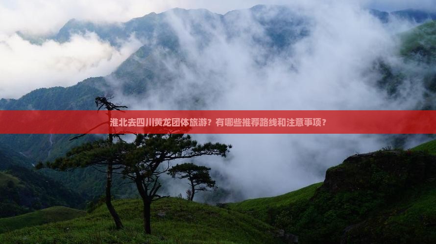 淮北去四川黄龙团体旅游？有哪些推荐路线和注意事项？