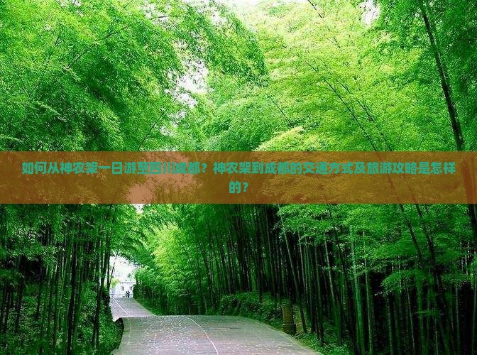 如何从神农架一日游至四川成都？神农架到成都的交通方式及旅游攻略是怎样的？
