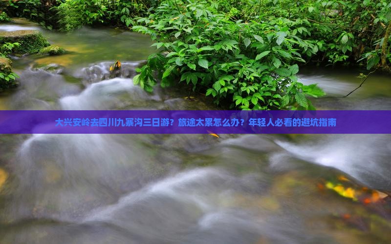 大兴安岭去四川九寨沟三日游？旅途太累怎么办？年轻人必看的避坑指南