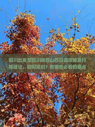 铜川出发至四川峨眉山四日游攻略及行程建议，如何规划？有哪些必看的景点和必尝的美食？