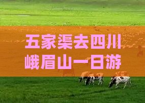 五家渠去四川峨眉山一日游攻略精华版