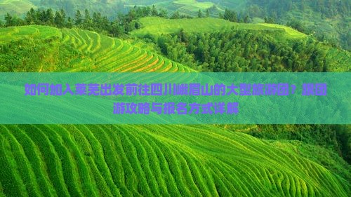 如何加入莱芜出发前往四川峨眉山的大型旅游团？跟团游攻略与报名方式详解