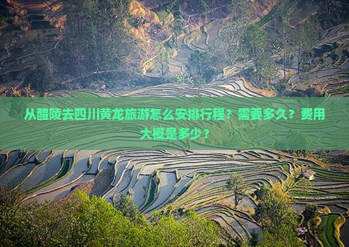 从醴陵去四川黄龙旅游怎么安排行程？需要多久？费用大概是多少？