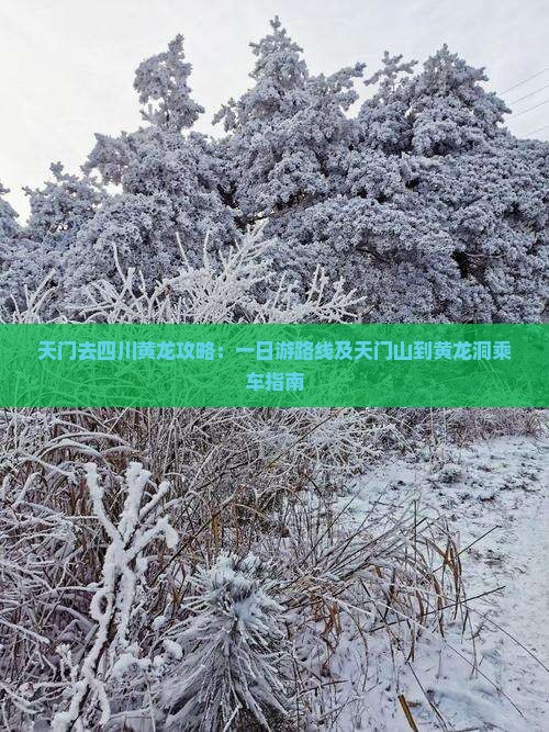 天门去四川黄龙攻略：一日游路线及天门山到黄龙洞乘车指南