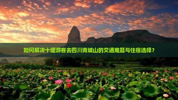 如何解决十堰游客去四川青城山的交通难题与住宿选择？