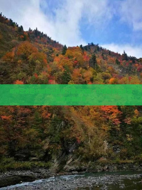 郑州出发四川峨眉山自由行旅游攻略：行程规划与必游景点自由探索