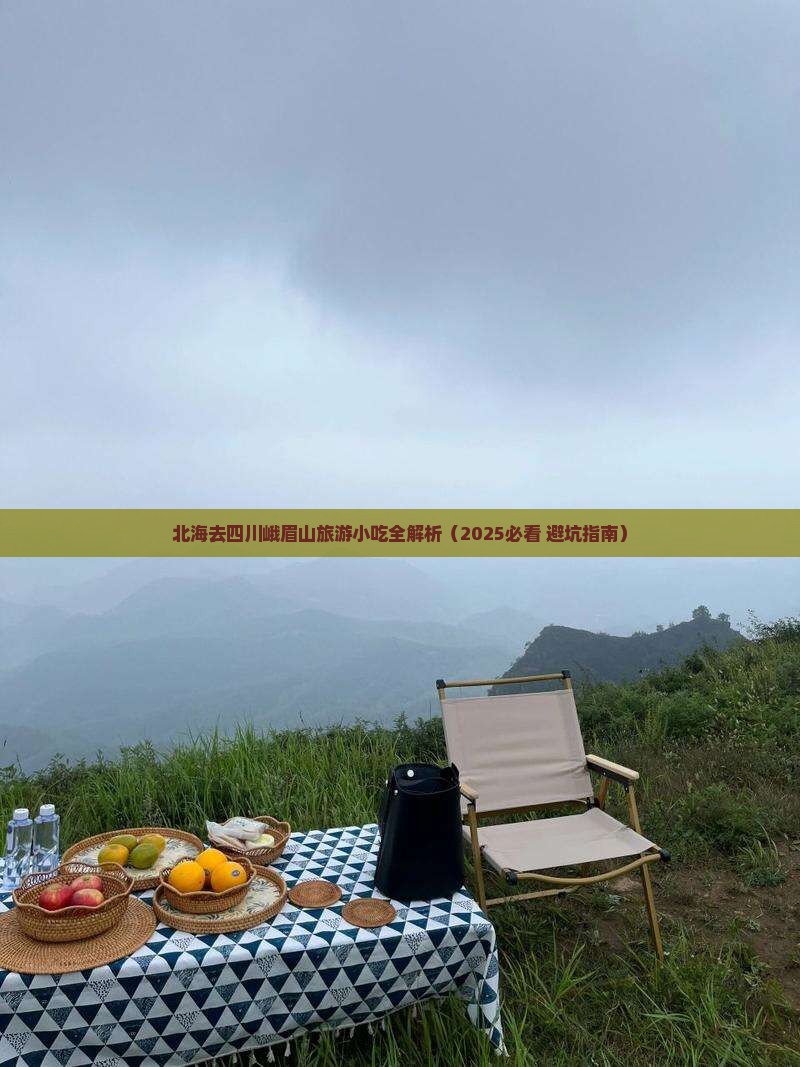北海去四川峨眉山旅游小吃