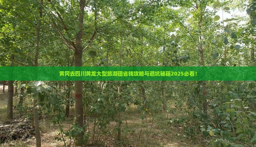 黄冈去四川黄龙大型旅游团